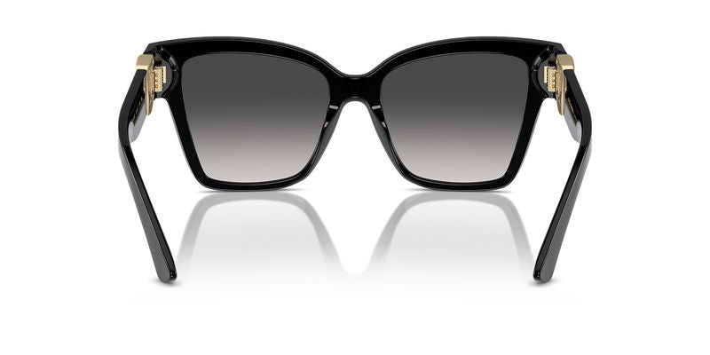 Occhiali da sole DG4470