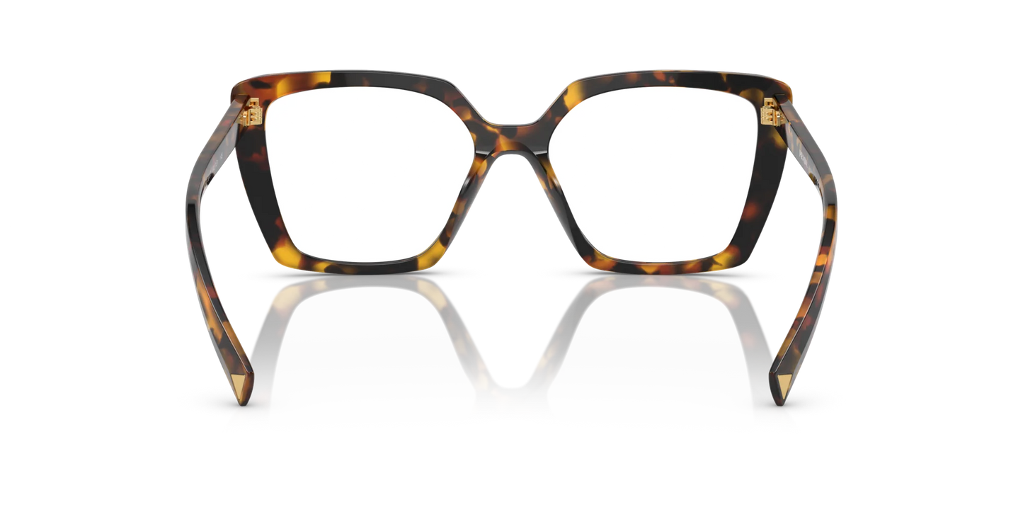 PR 16ZV VAU1O1 tortoise