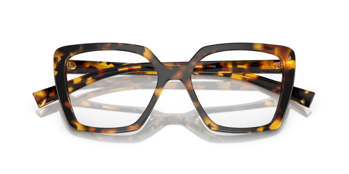 PR 16ZV VAU1O1 tortoise
