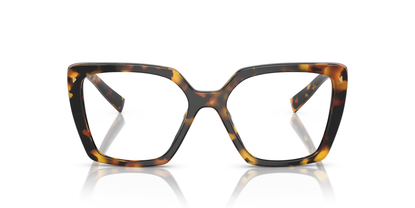 PR 16ZV VAU1O1 tortoise