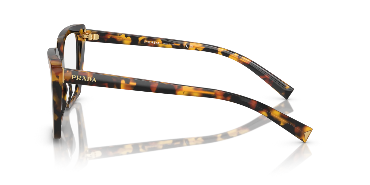 PR 16ZV VAU1O1 tortoise
