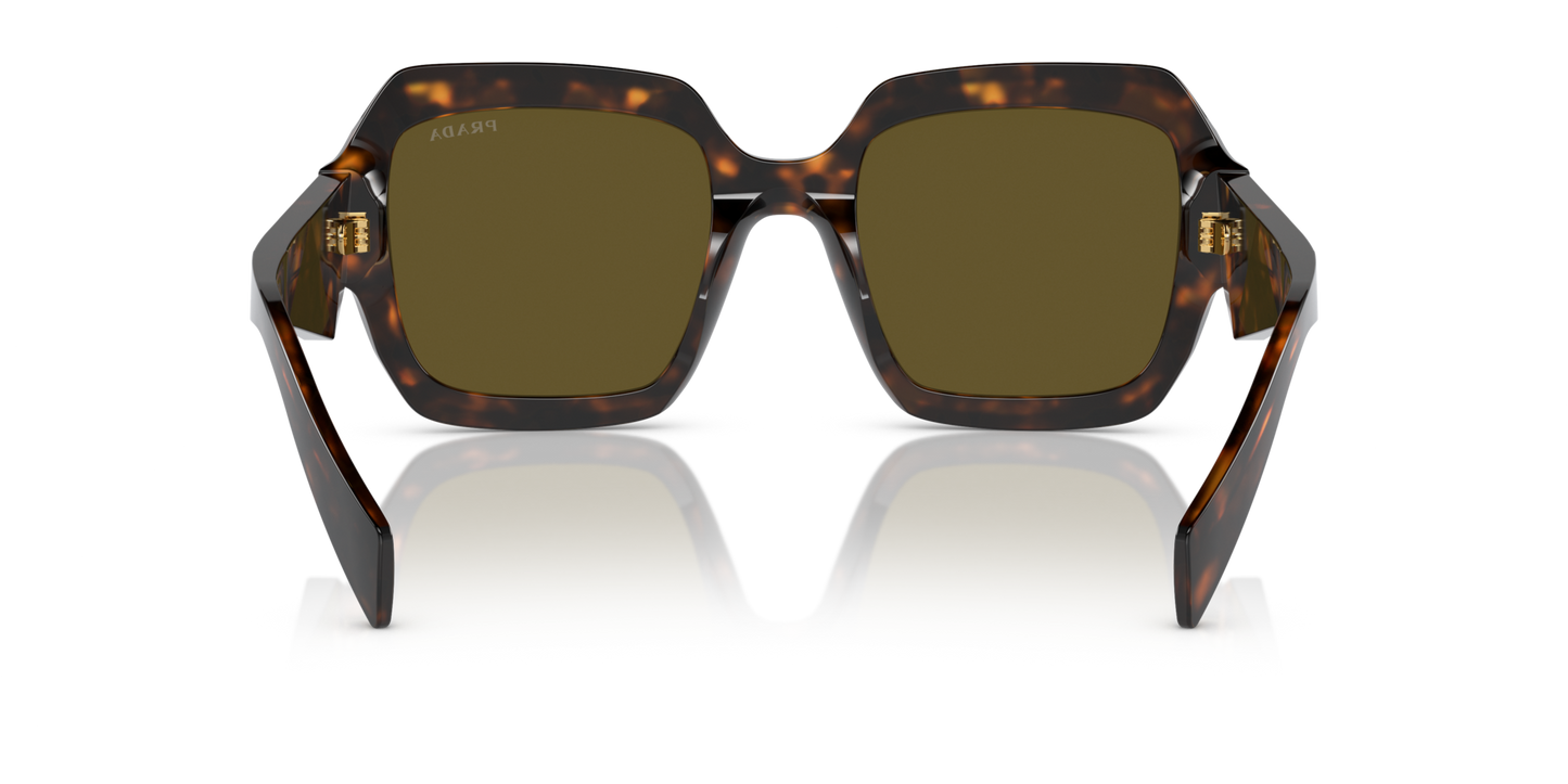 Occhiali da sole PR 28ZS 14L09Z sage / honey tortoise