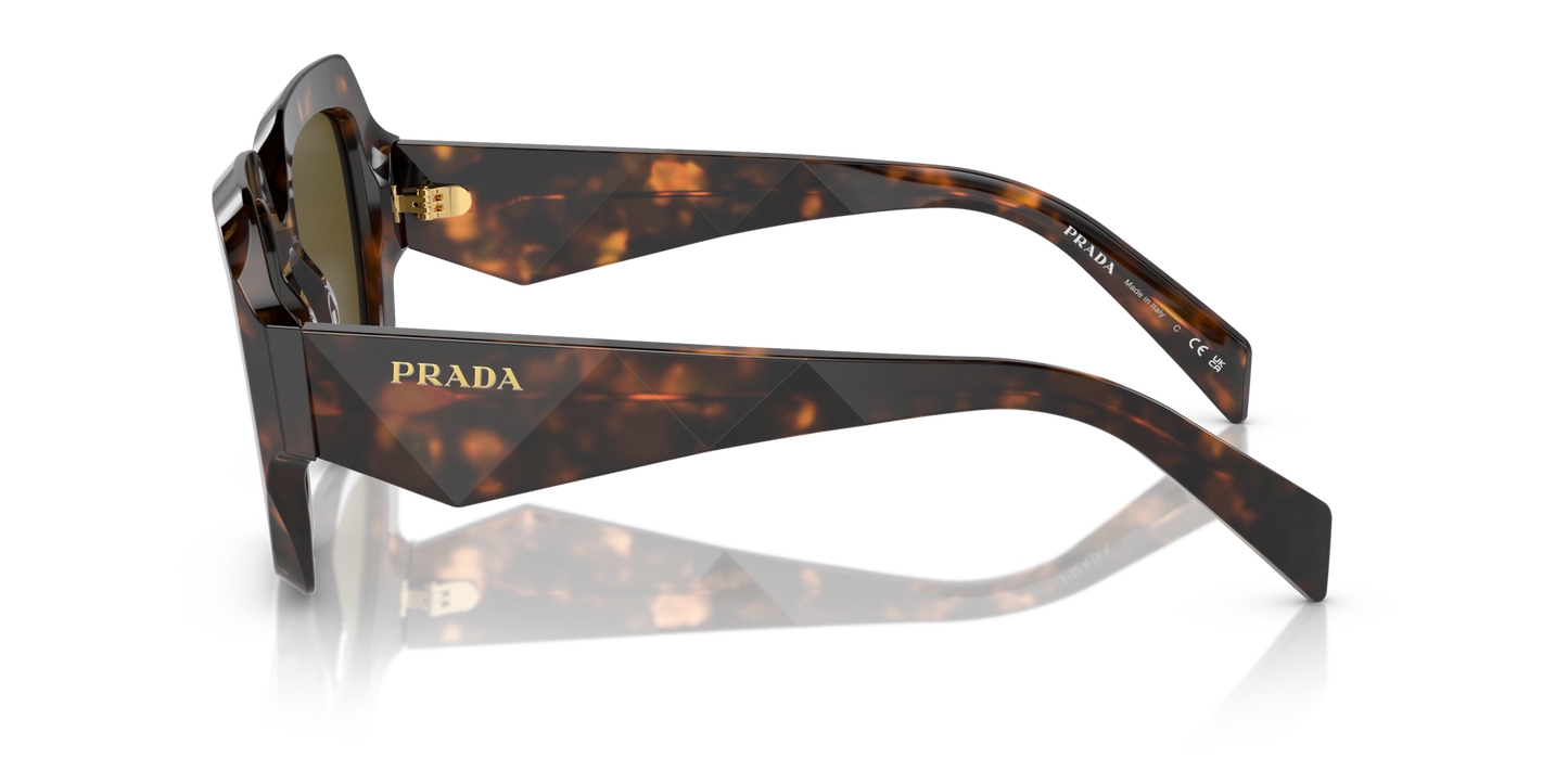 Occhiali da sole PR 28ZS 14L09Z sage / honey tortoise