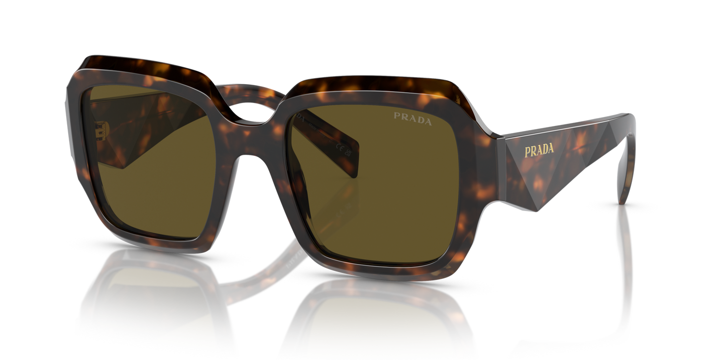 Occhiali da sole PR 28ZS 14L09Z sage / honey tortoise