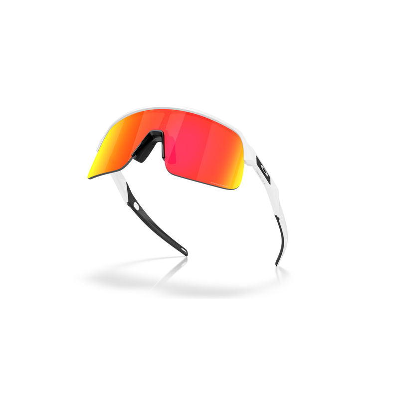 Sutro Lite S