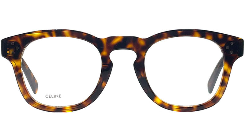 CL50118I 052 tortoise