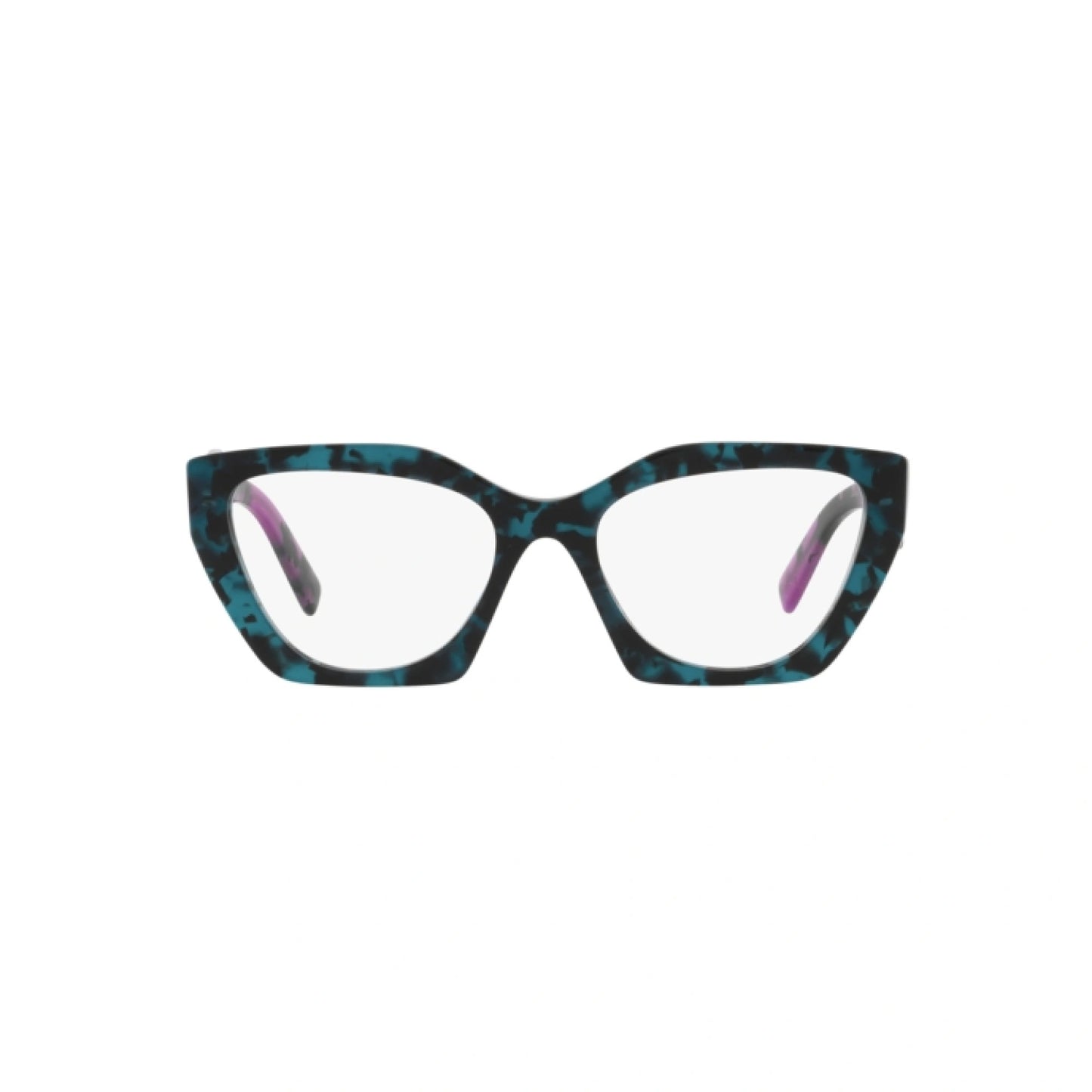 PR 09YV 06Z1O1 teal tortoise