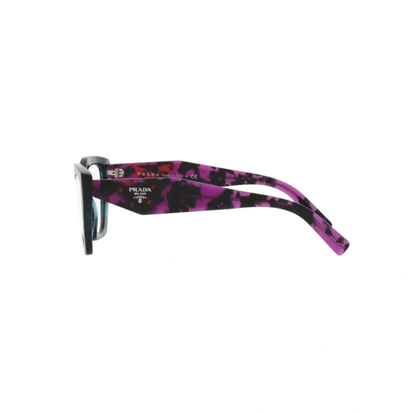 PR 09YV 06Z1O1 teal tortoise