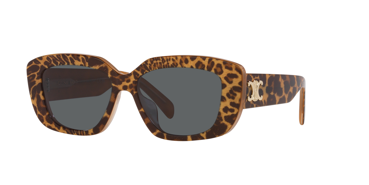 Occhiali da sole Triomphe CL40216U