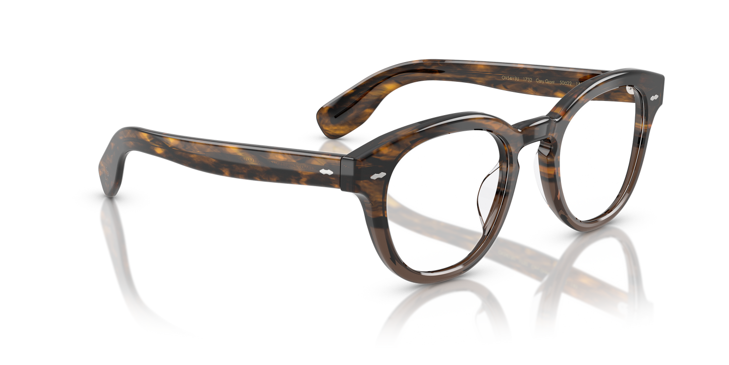Cary Grant OV5413U