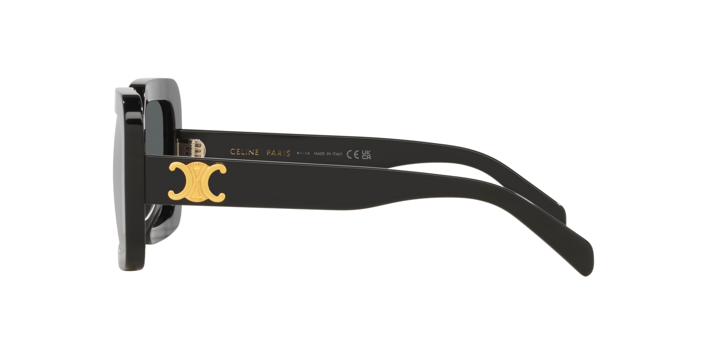 Occhiali da sole Triomphe CL40304U