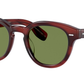 Cary Grant Sun OV5413SU grant tortoise